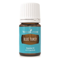 YL Blue Tansy (Tanacetum annuum) ir