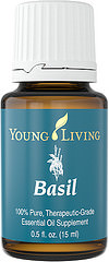 YL BASIL (BAZILIKS) Ocimum basilicum likvidēt