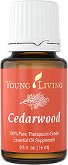 YL Cedarwood (Ciedrs) Cedrus atlantica rada