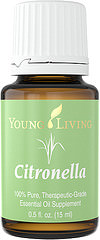 YL Citronella (Citronella) atsvaidzina un paceļ