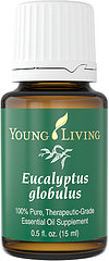 EUCALYPTUS GLOBULUS 15ml
