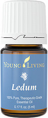LEDUM 5ml